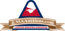 LMA Auctions