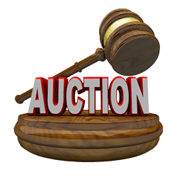 LMA Auctions portfolio-icon